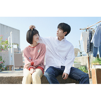 二択の初恋 DVD-SET1