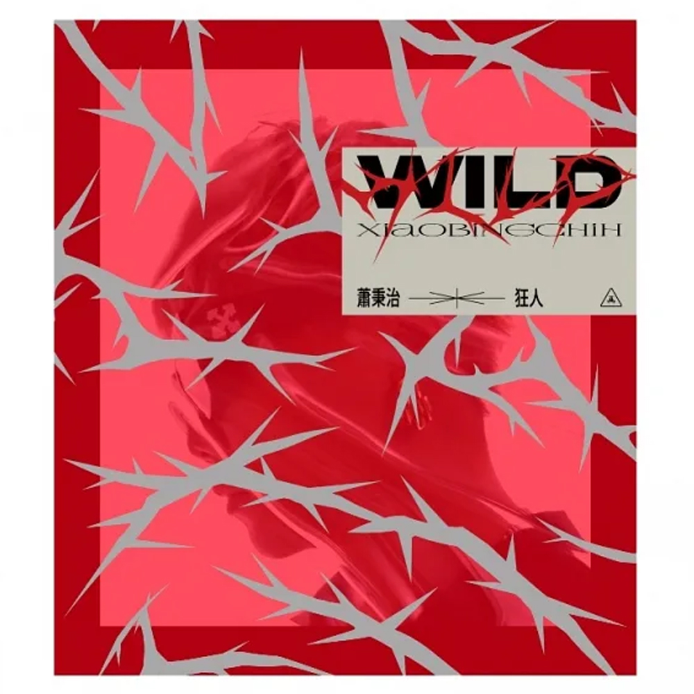 ビビアン・スー(徐若瑄) アルバム「先聽我說完」( CD /台湾版)