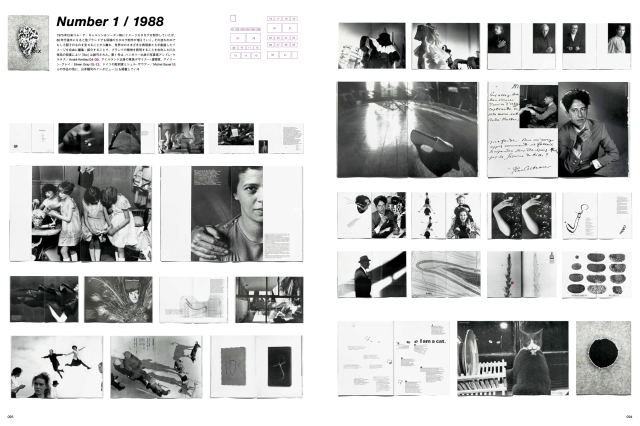 SWITCH special edition COMME des GARÇONS 50th Anniversary Issue