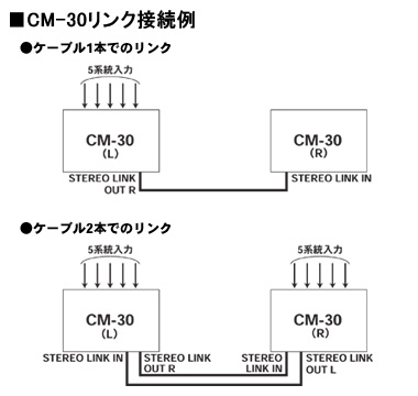 Roland/CM-30 - CUBE Monitor【お取り寄せ商品】