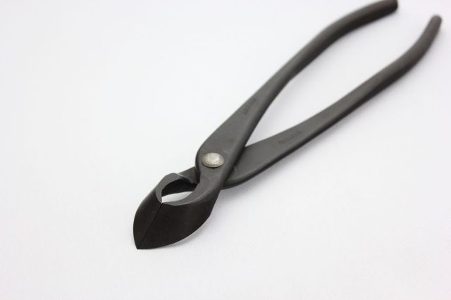 昌国 又枝切 No,16