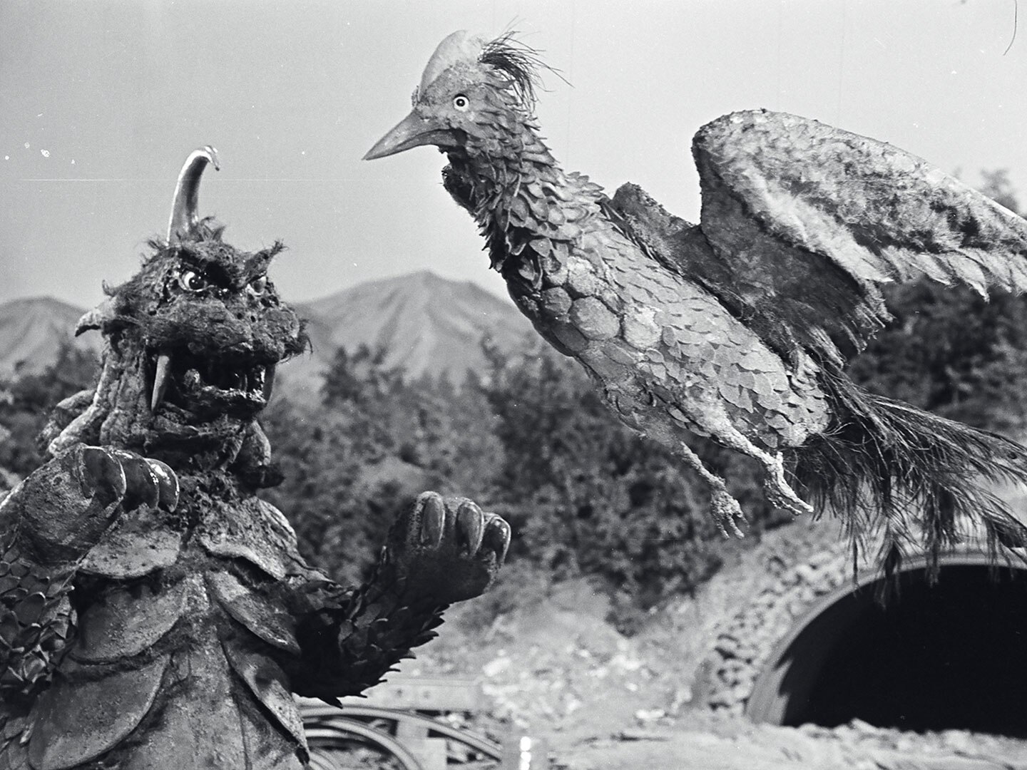 ウルトラQ 第20話| バンダイチャンネル｜最新作から不朽の名作まで