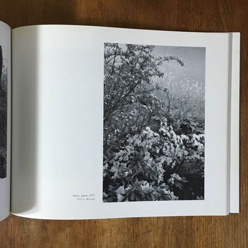 LEE FRIEDLANDER リー・フリードランダー写真集」 | Frobergue o