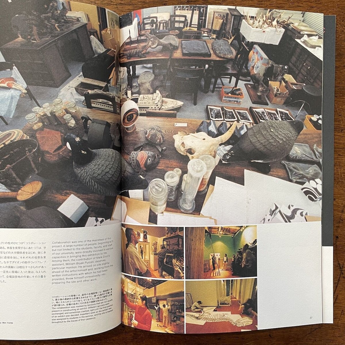 ミクロコスモグラフィア マーク・ダイオンの『驚異の部屋』 図録（豪華