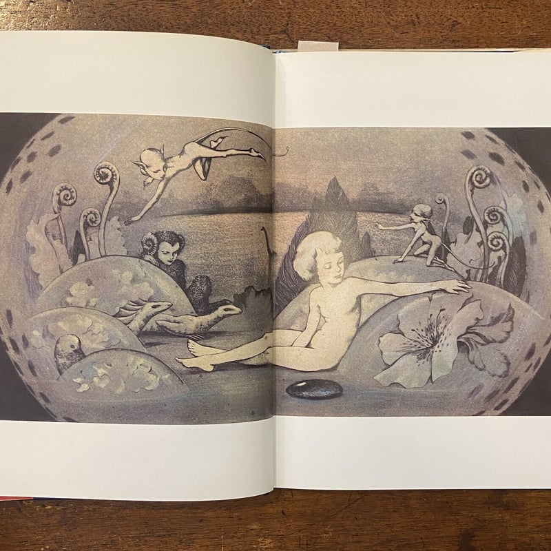 アクエリアム フォルテ」東逸子 | Frobergue online store