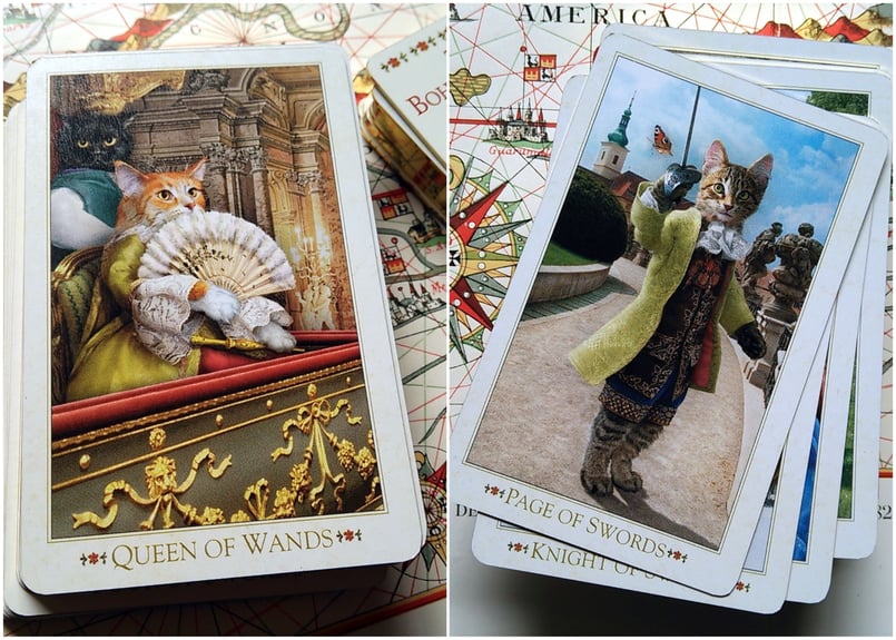 希少！限定入荷】 バロック ボヘミアン キャッツ タロット ミニ 3rd