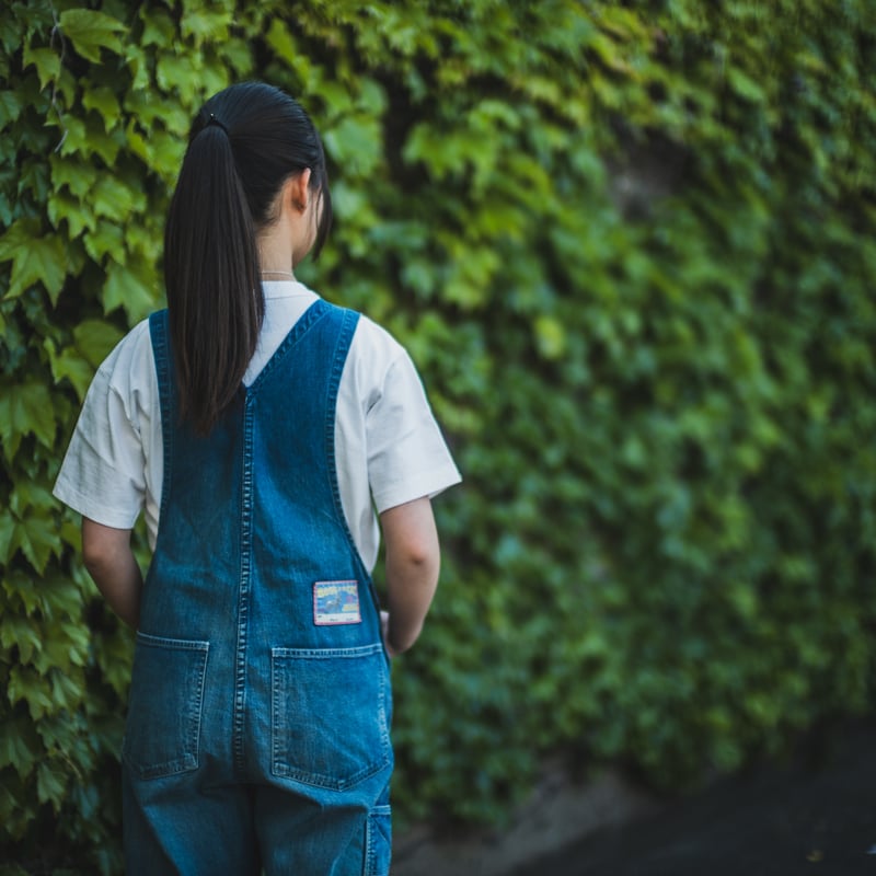 Boss of the Old Cat Overall | TCB jeans