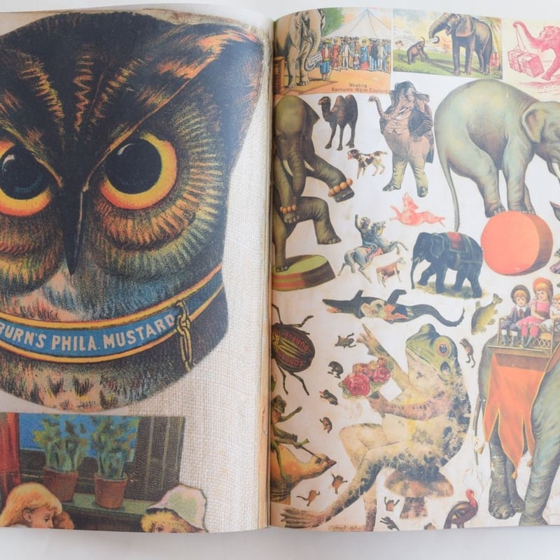 JOHN DERIAN PICTURE BOOK | 誠光社 通信販売