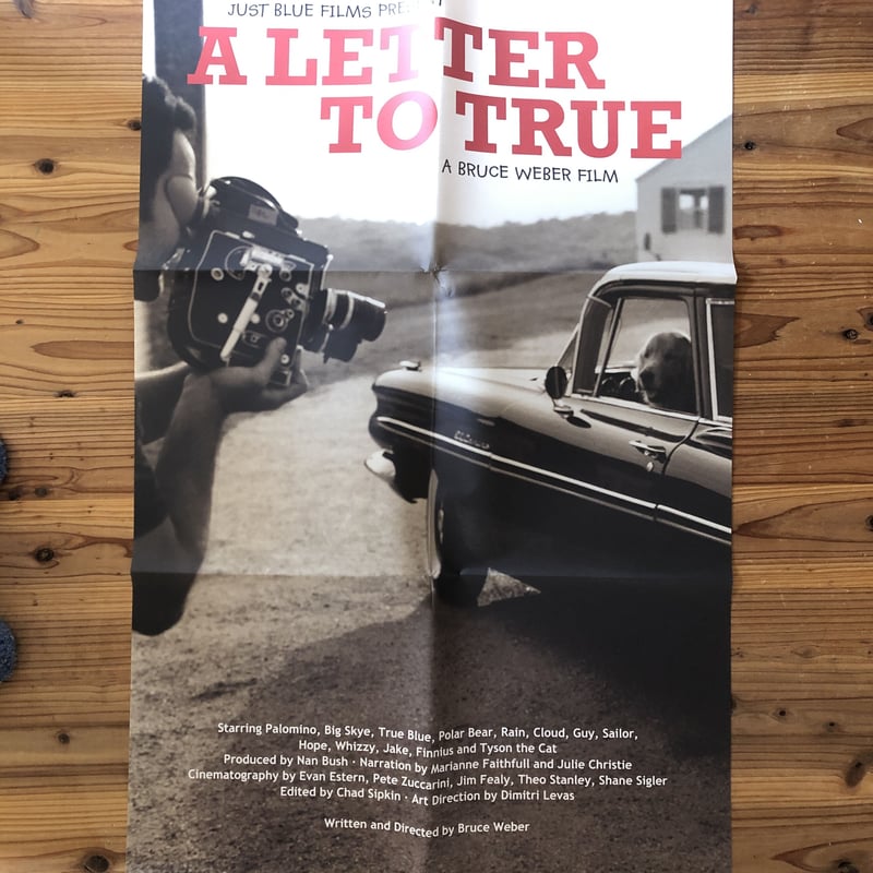 A LETTER TO TRUE COLLECTOR'S BOX | 誠光社 通信販売