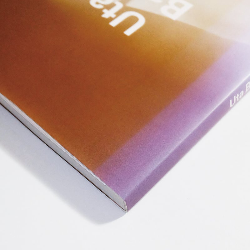 Uta Barth: Contemporary Artists Series | Book E