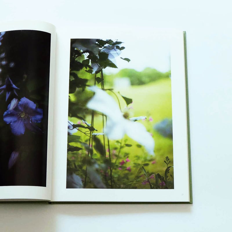 Terri Weifenbach: The may sun | Book Ernest