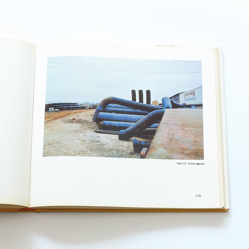 The New Color Photography | Book Ernest