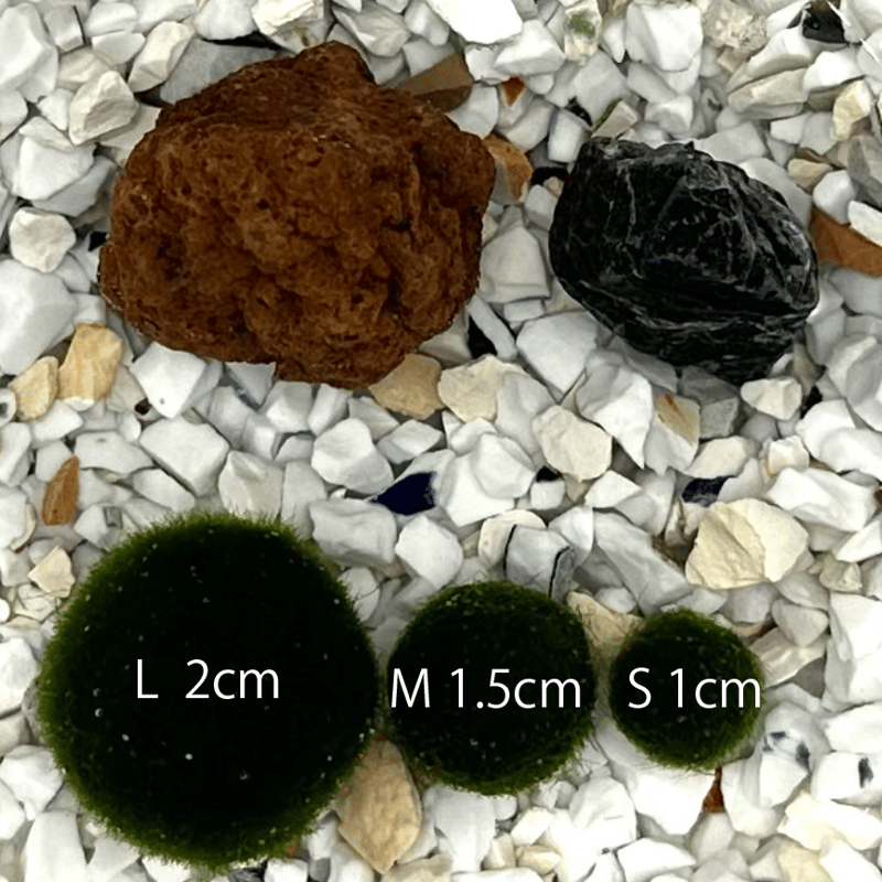 マリモLサイズ単品（1個）（サイズ直径約20mm) | 流木専門店のアクア