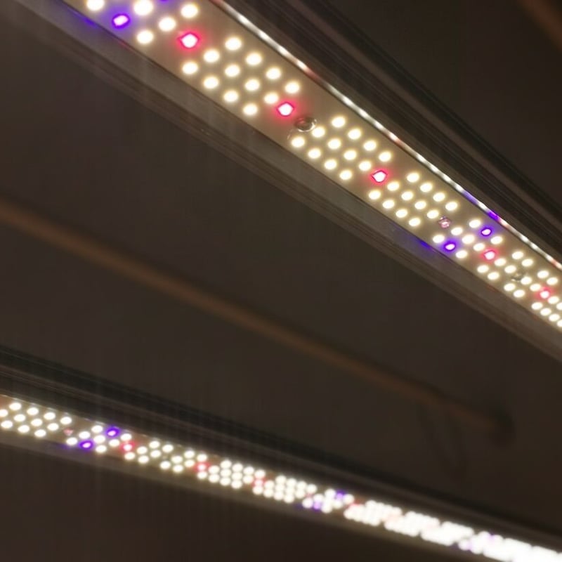 ◇ Helios Green LED シリーズ ／Helios Green LED SPESI