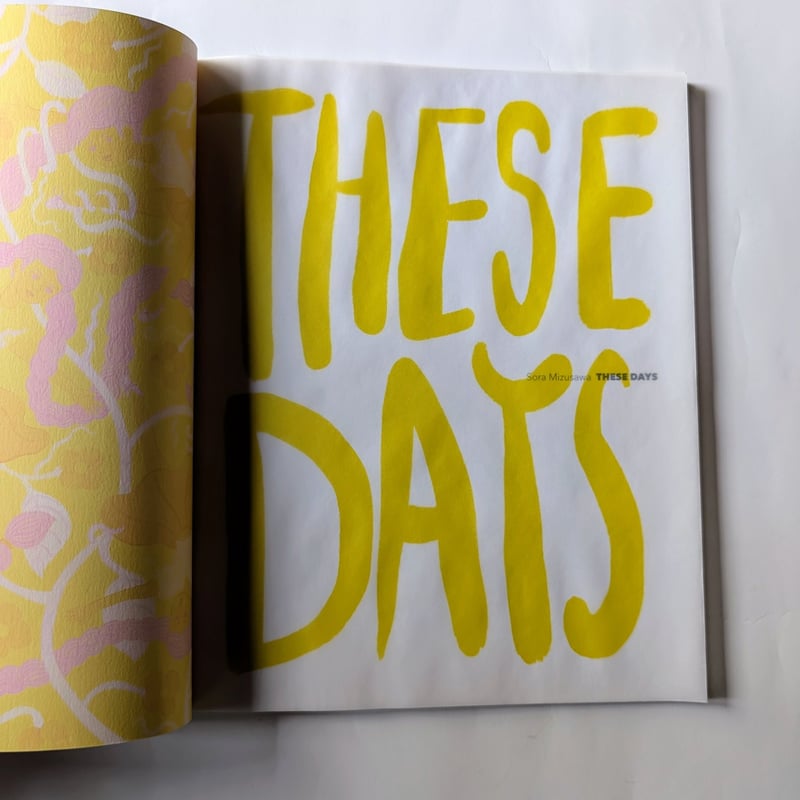 水沢そら作品集『These Days』＊サイン入り | nowaki