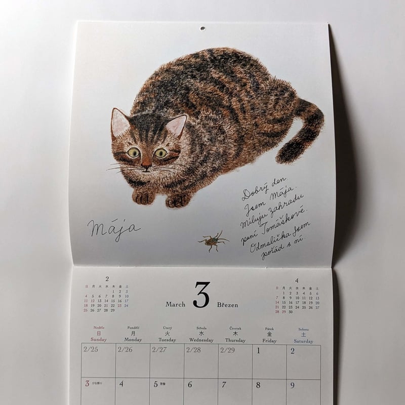 出久根育カレンダー2024「チェコの猫の12ヶ月」 | nowaki