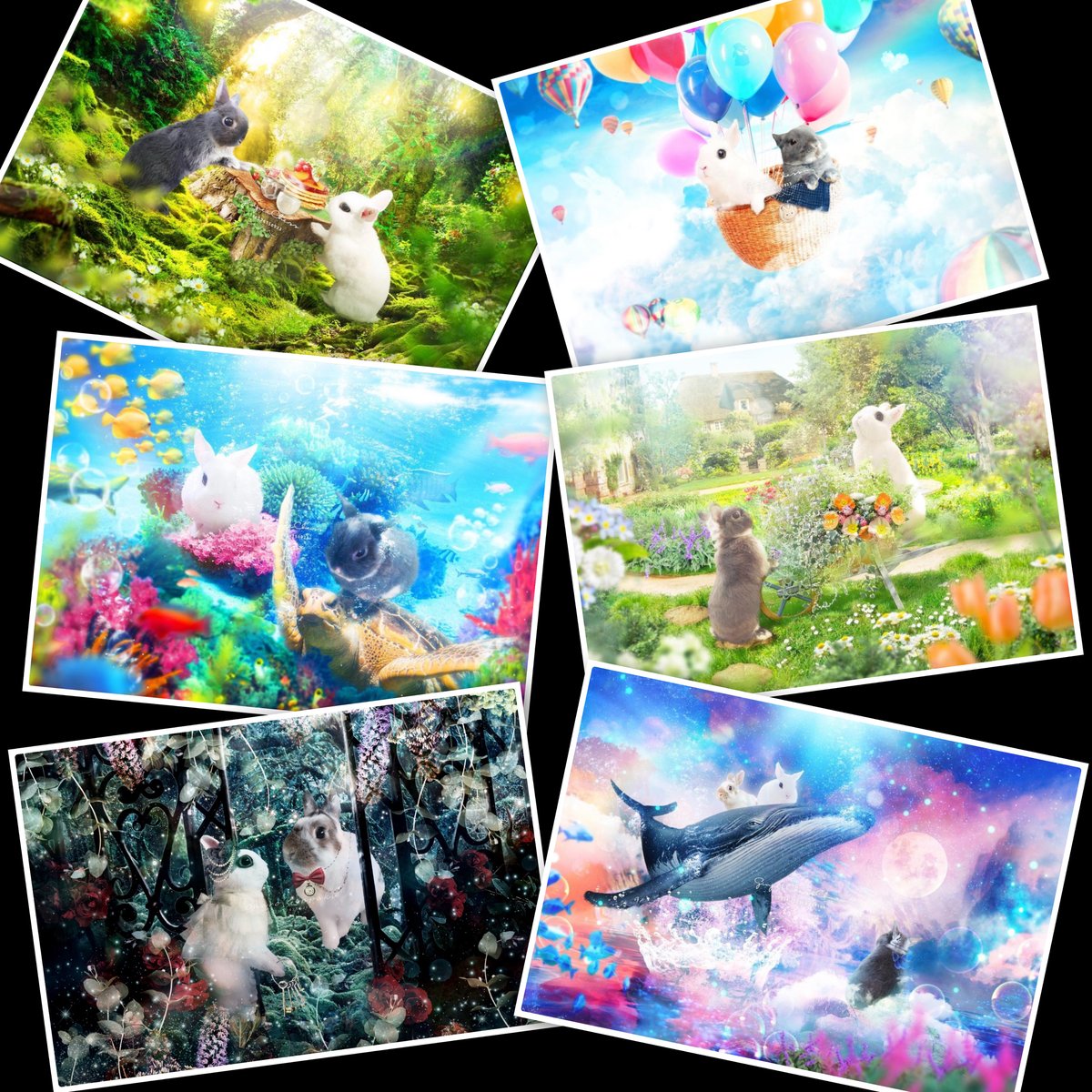 Charity items】オリジナルポストカード | ラビラビ商事