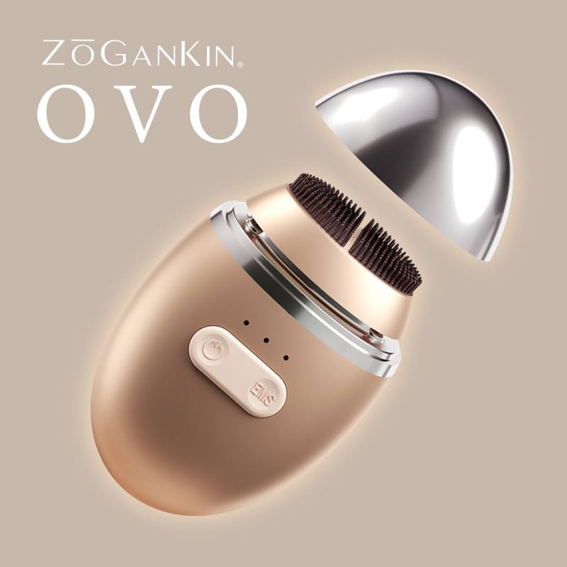 ZOGANKIN OVO ゾーガンキン オーヴォ | WILLA