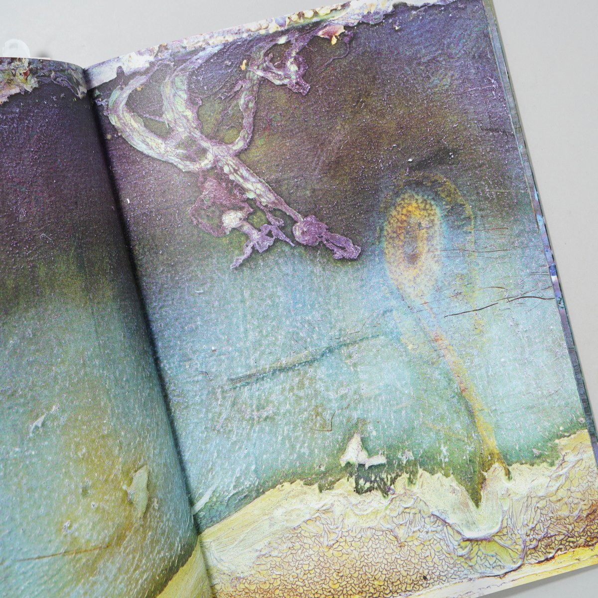 サイン入/Signed] Berlin / 横田大輔(Daisuke Yokota) | b