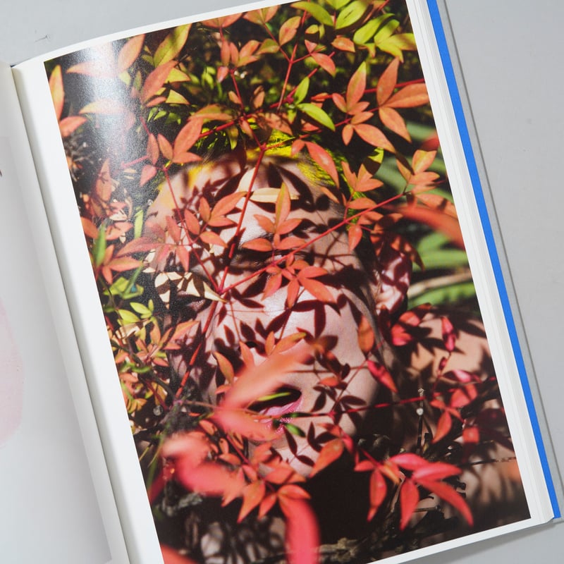 ROXANE Ⅱ / Viviane Sassen(ヴィヴィアン・サッセン) | bookob