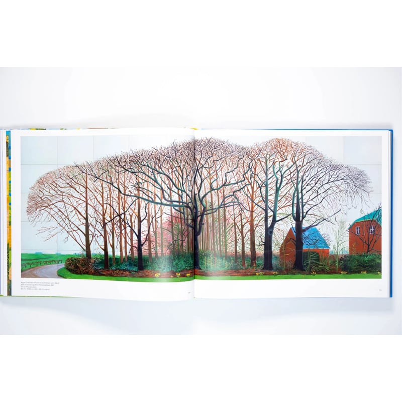 David Hockney | Art Book Iskusstvo