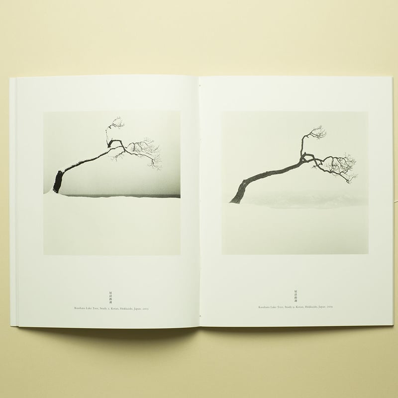 IN HOKKAIDO 】 Michael Kenna 初版 サイン本 コレクターズアイテ