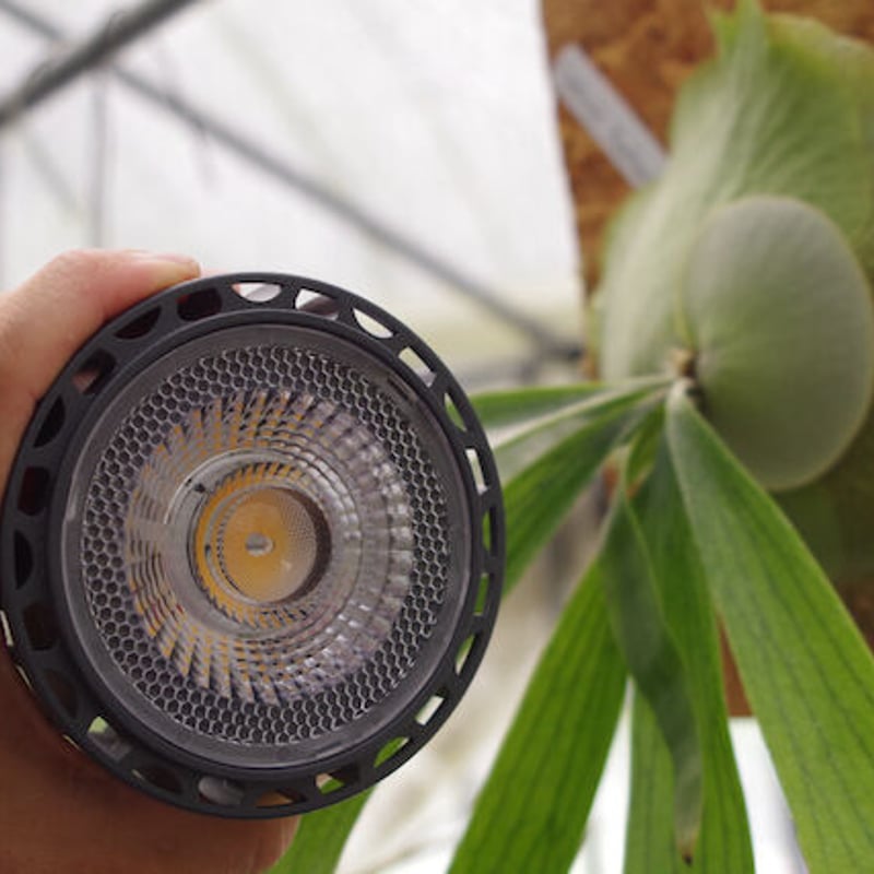 HELIOS ヘリオス グリーン LED 植物育成ライト / Helios Green LED