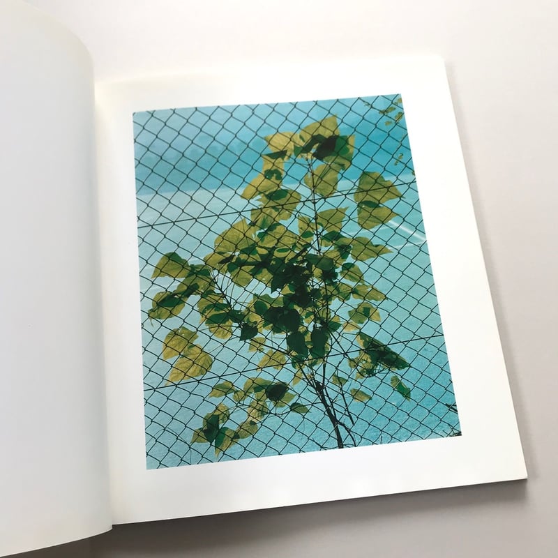 鉄火 佐内正史写真集 | suiran