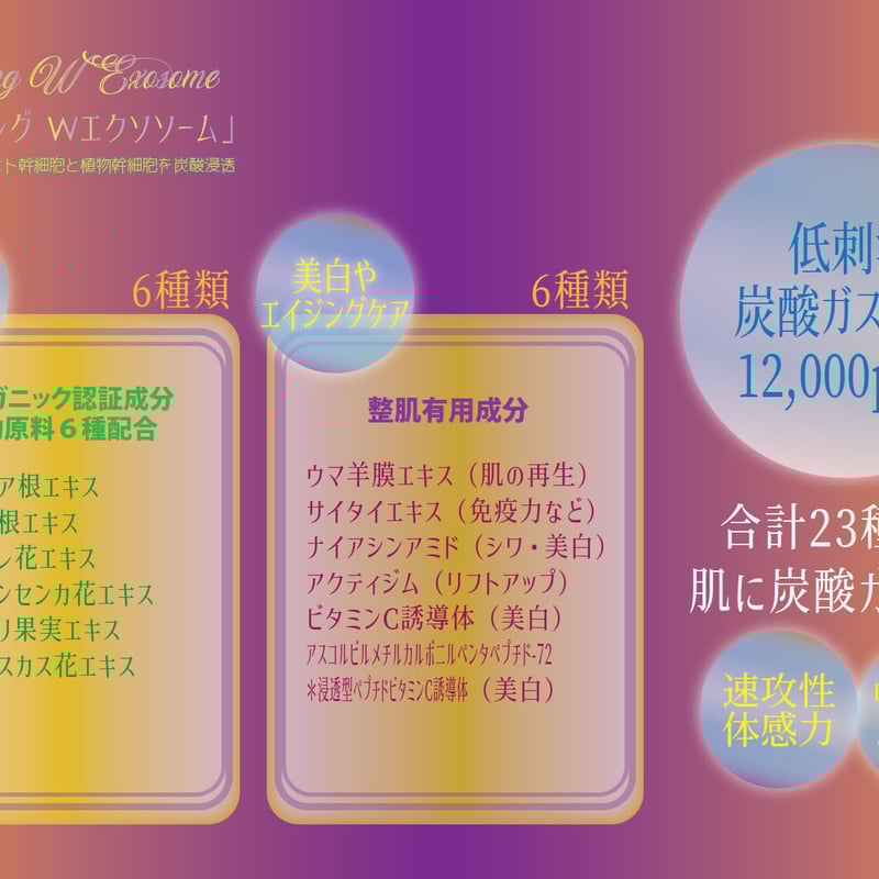 クラッキングWエクソソーム 〈2025/5/5リニューアル〉 | コスメメゾン