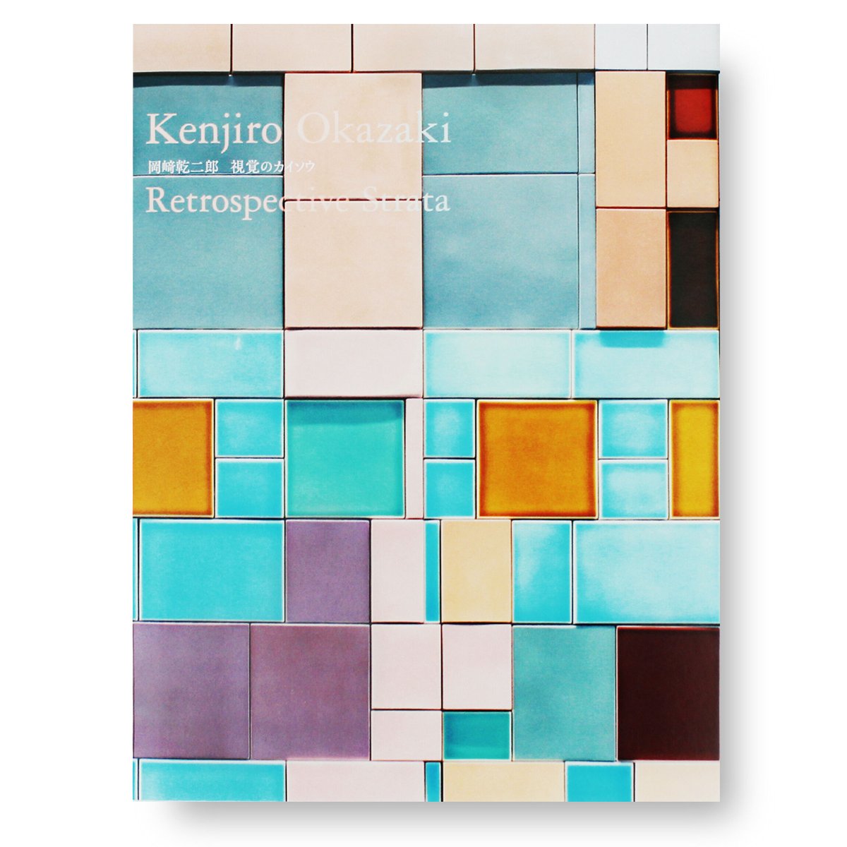 岡﨑乾二郎 視覚のカイソウ | ナナロク社の店