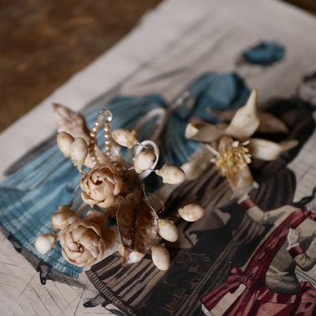 ワックスフラワー | STORES