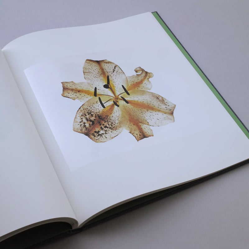 FLOWERS Irving Penn 初版 海外ライブラリー蔵書印等の難あり Irving