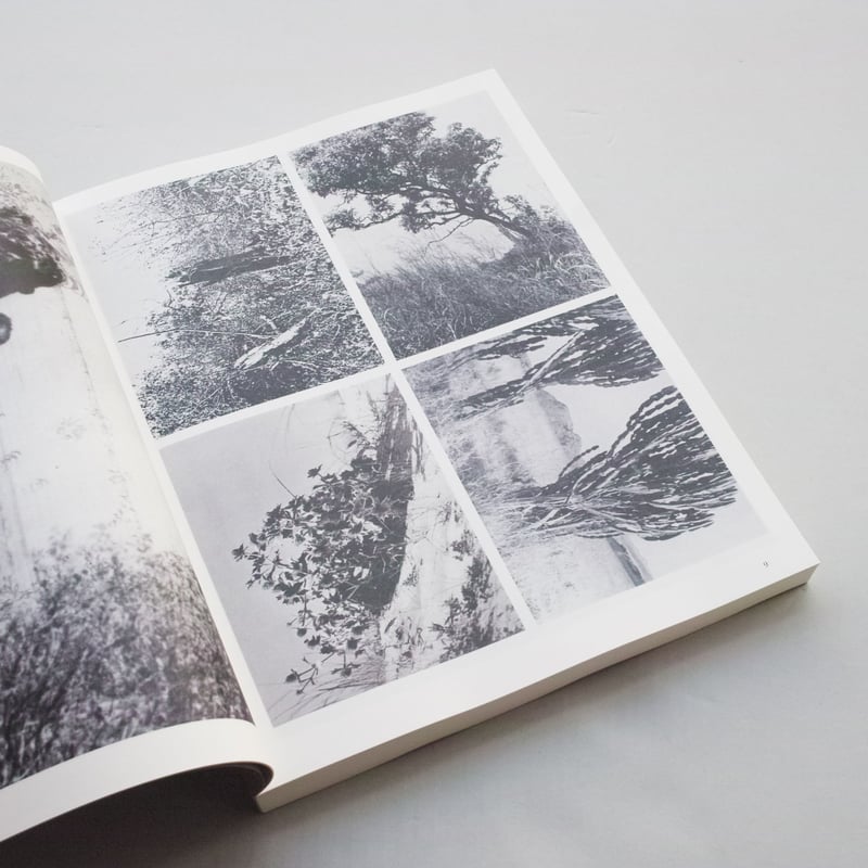 Batia Suter / Hexamile ( Mont-Voisin) | POST