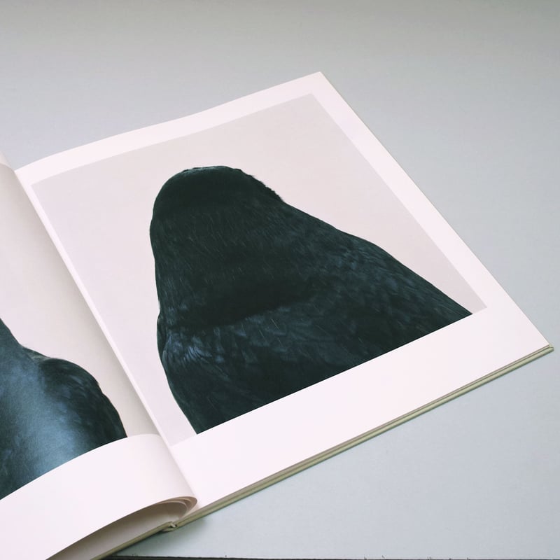 Roni Horn / bird | POST