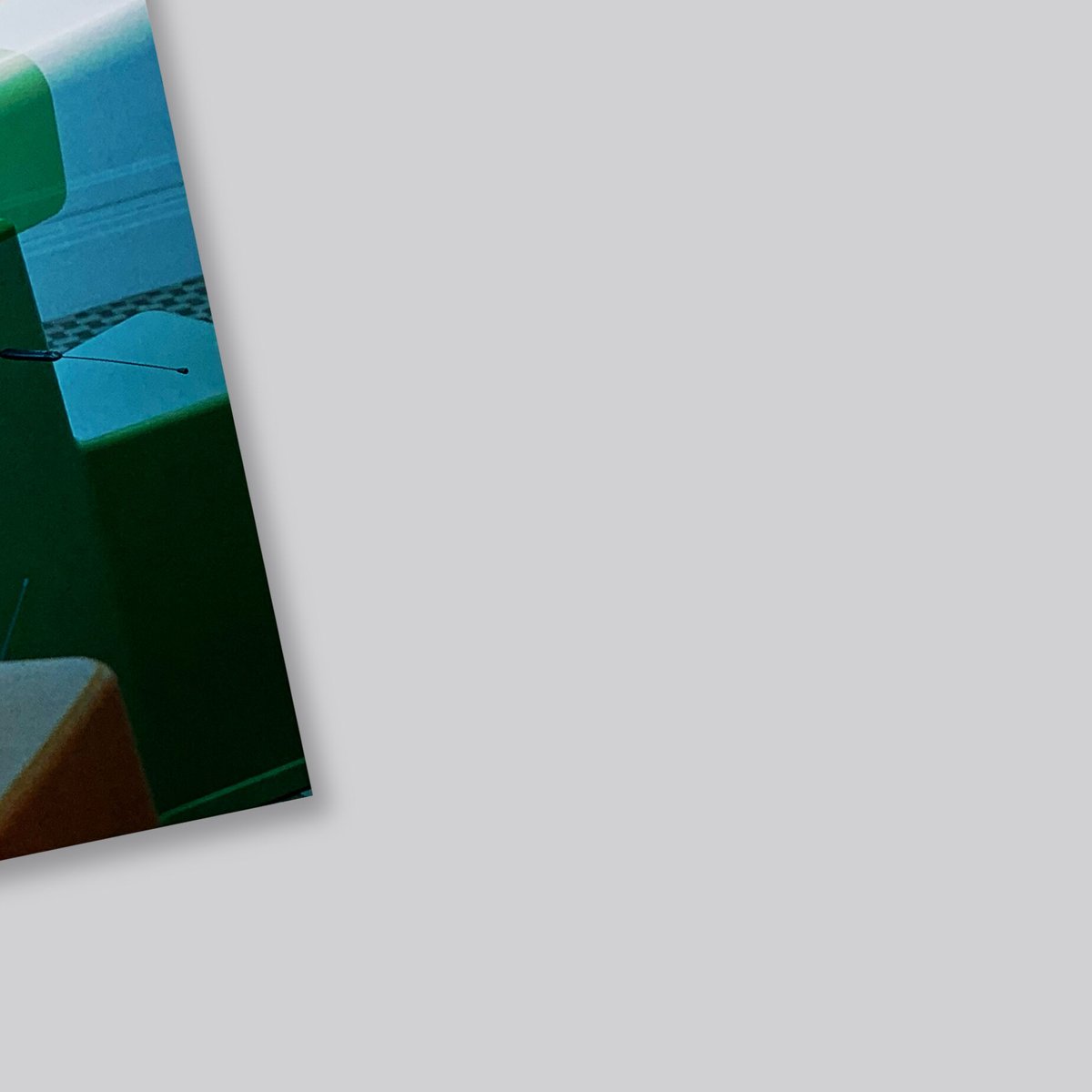 廃盤】コンスタンティン・グルチッチ PHAIDON 洋書 廃盤