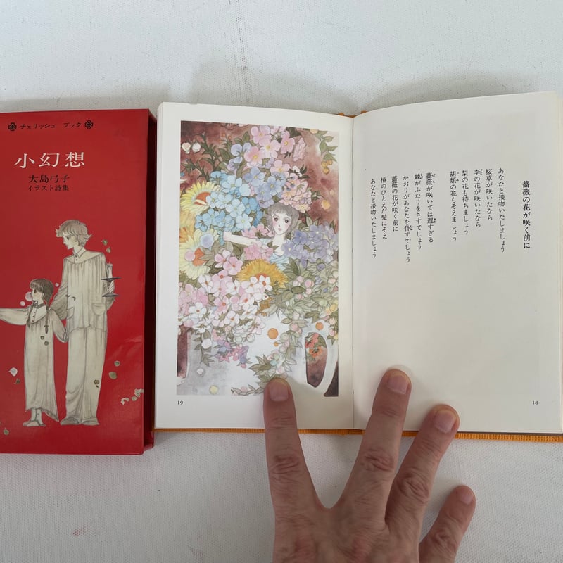 小幻想 大島弓子イラスト詩集 | 古書まどそら堂