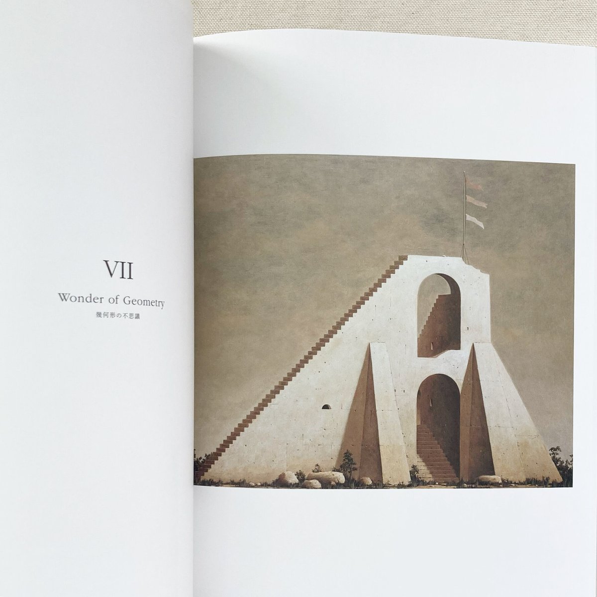 野又 穫｜ALTERNATIVE SIGHTS | 曲線