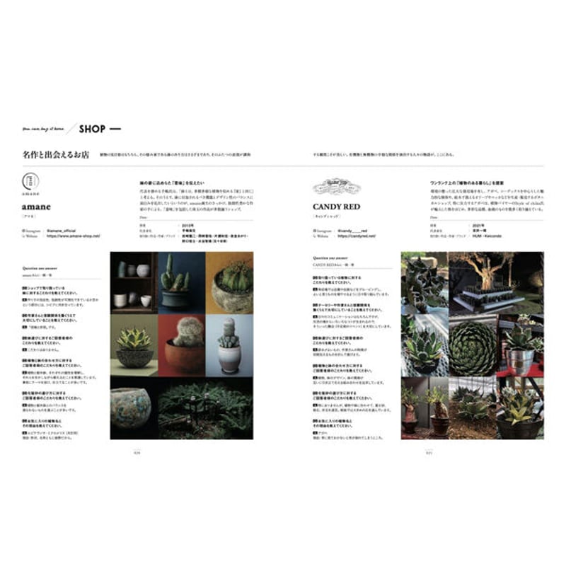 本］THE POT 現代植木鉢図鑑 | 三才ブックス オンラインショップ