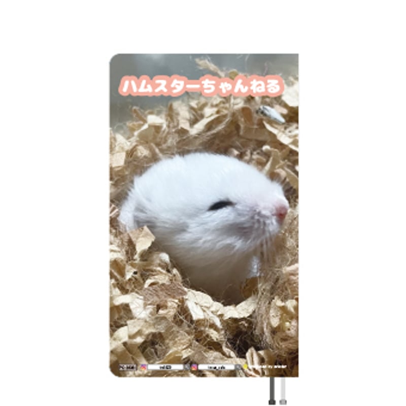予約販売】 ハムスターちゃんねる 2026年 ポケットスケジュール帳