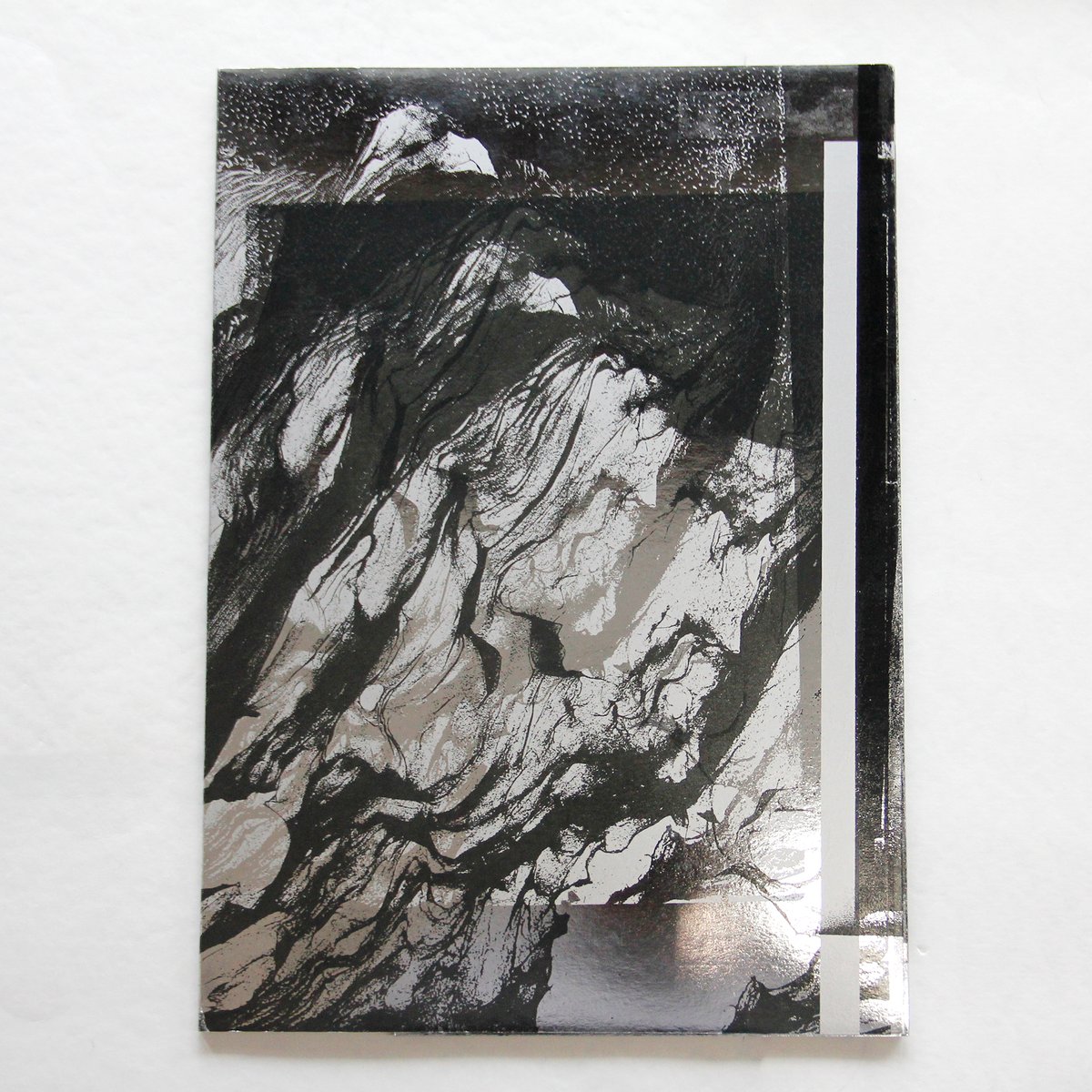 横田大輔Inversion (Arles edition)絶版