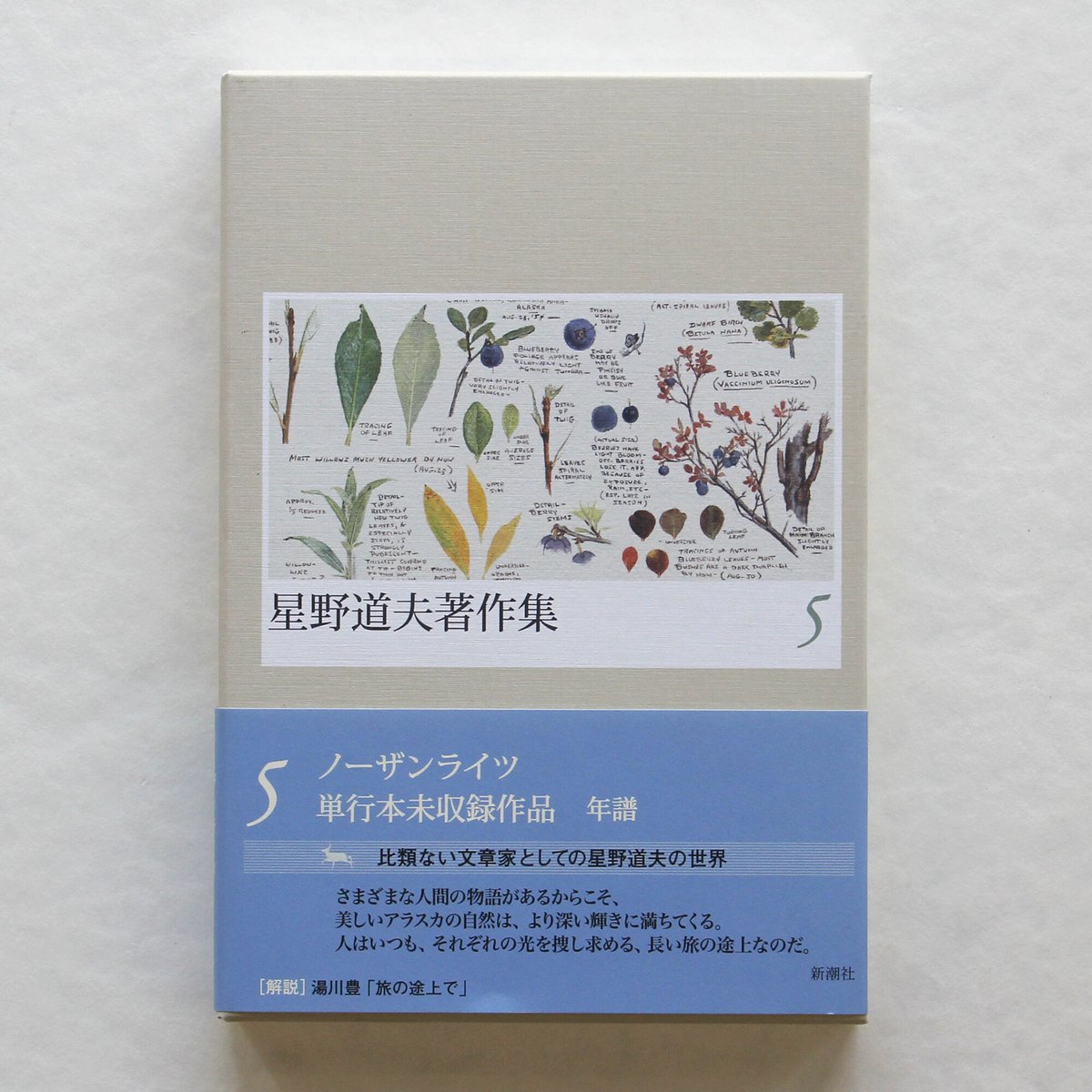 星野道夫『星野道夫著作集』（1〜5巻） | Fugensha STORE