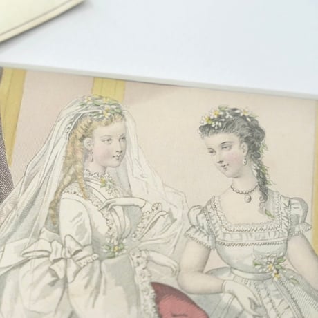 ワックスフラワー | STORES