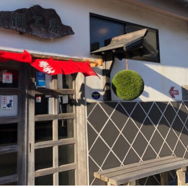 杉玉 中玉 （約40cm） | 楠玉屋