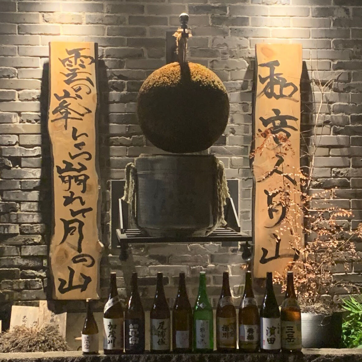 杉玉 大玉 （約50cm） | 楠玉屋