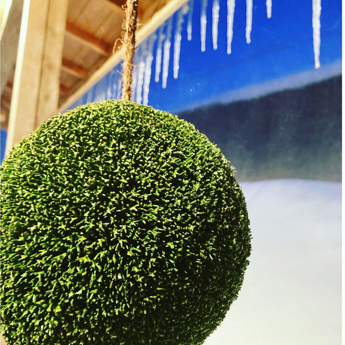 杉玉 四寸玉（約12cm） | 楠玉屋