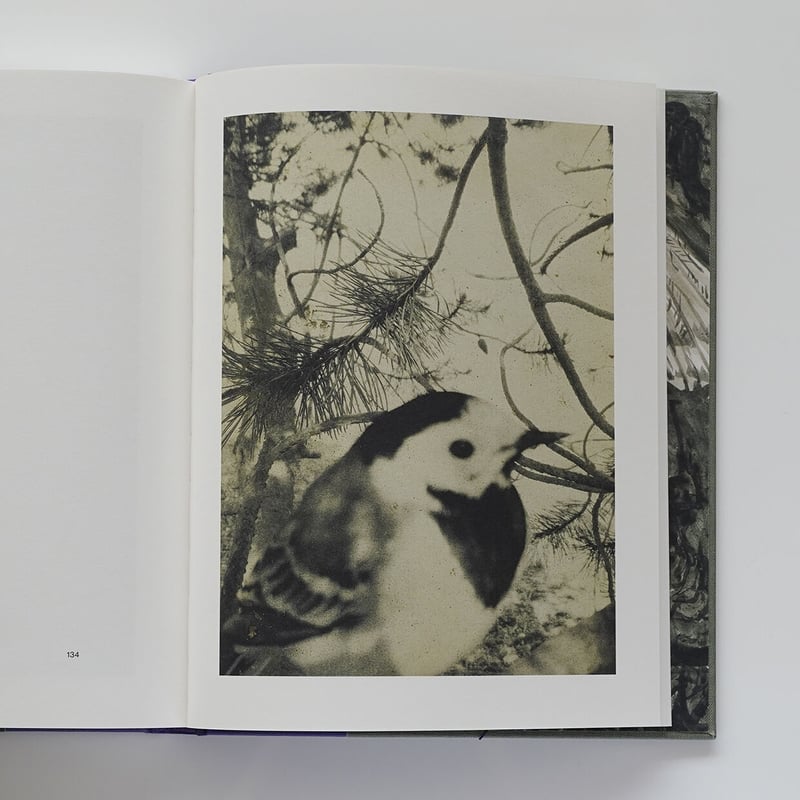 Night Procession | Nobody Books. jp