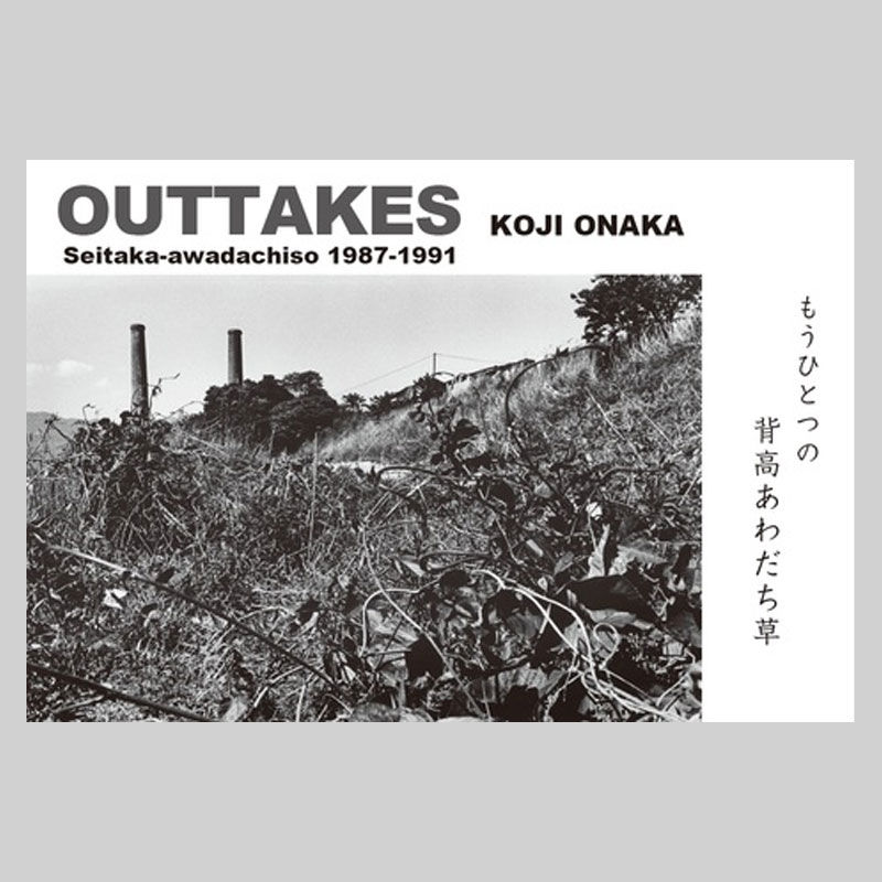 OUTTAKES・もうひとつの背高あわだち草｜尾仲浩二 Koji Onaka