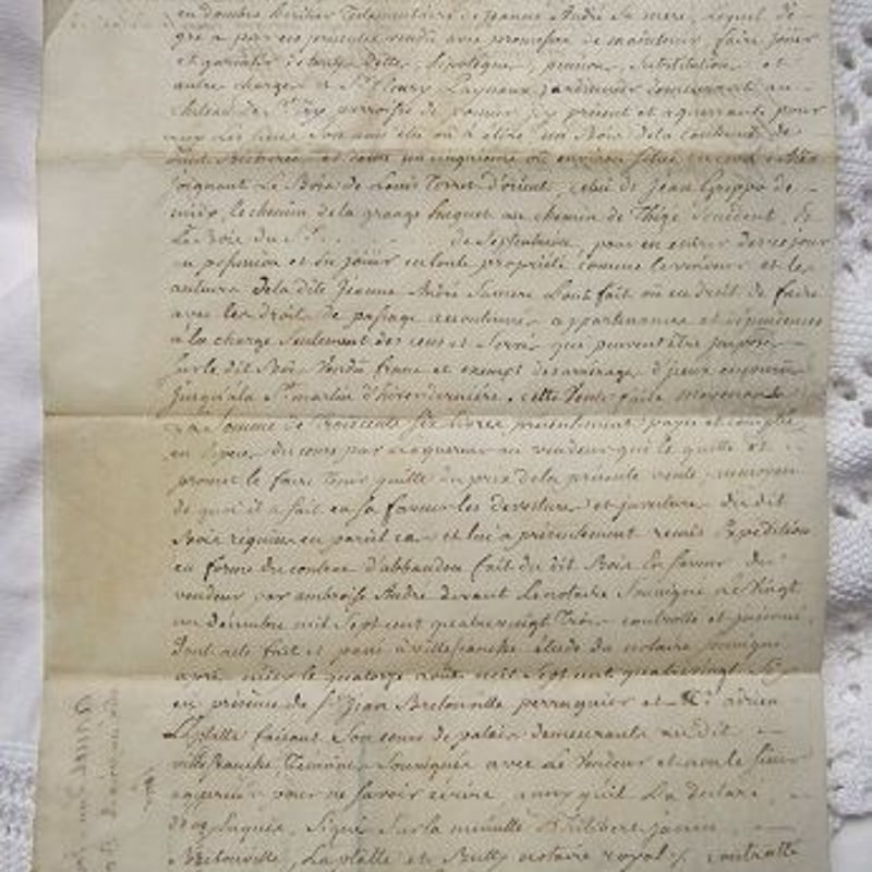 フランス古文書 羊皮紙1786年製 c-256 | Ivy
