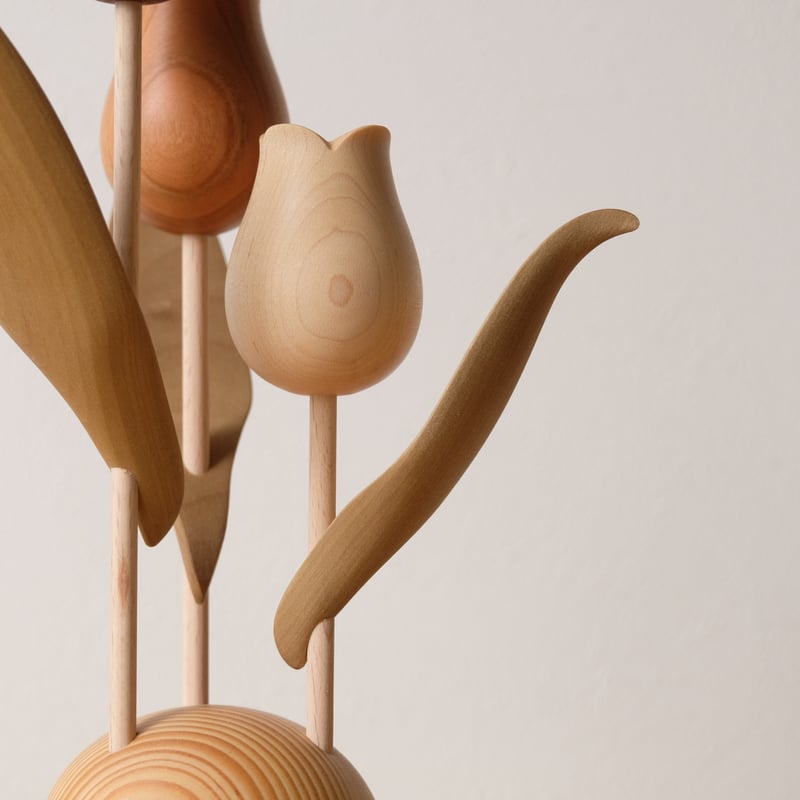 kikka チューリップ | 大石浩介