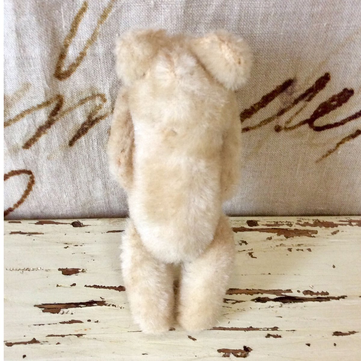 ベルグ社 ミニミニベア | sputnikplus online shop